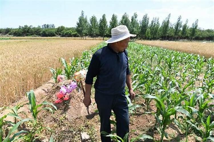 宝宝出生牛年,六月初六,六斤六两,女宝,取个小名？