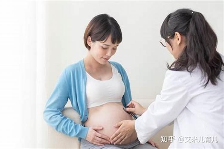 梦见豹子和老虎的预兆