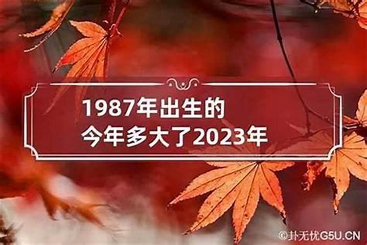 1977年属蛇的人2025年的运势及运程