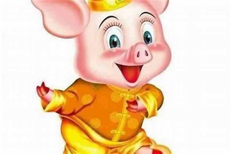 属猪今年运势2026年运势如何呢