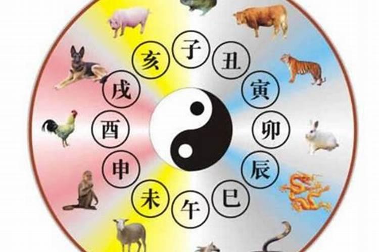 2025年6月7日出生的宝宝