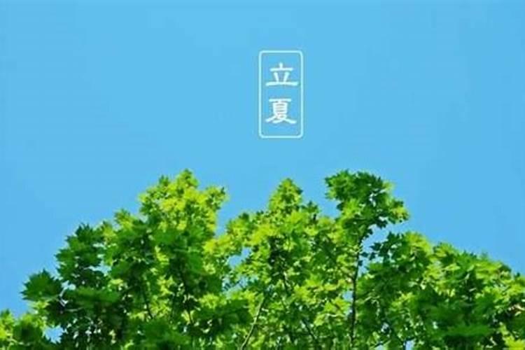 2025年68年猴人的全年运势如何