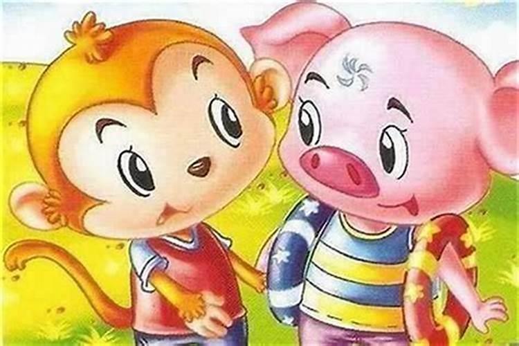 属猪和属蛇的合得来吗