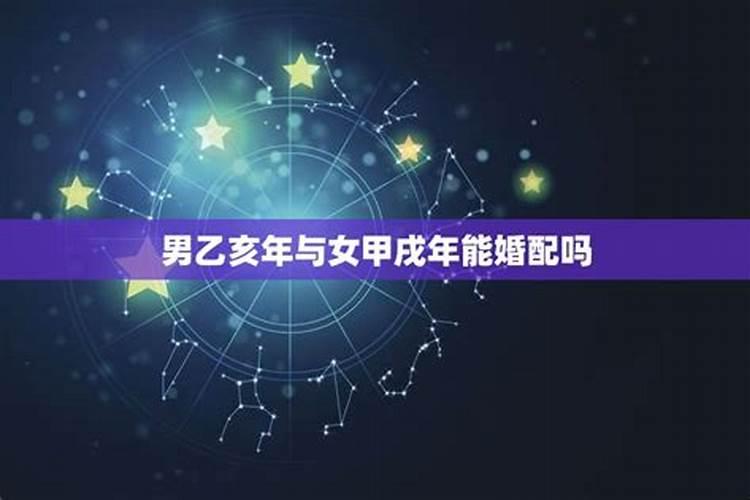 己巳蛇和乙亥猪婚姻相配吗？