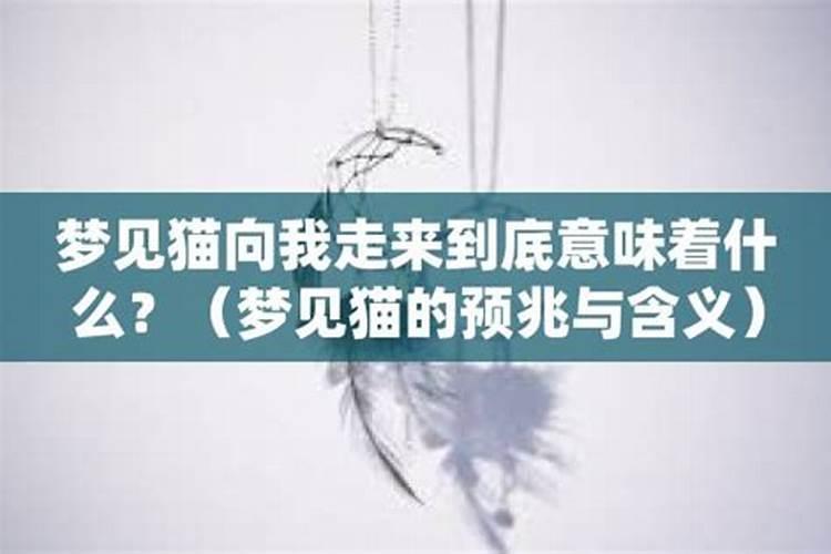 梦见许多美女向我走来的预兆