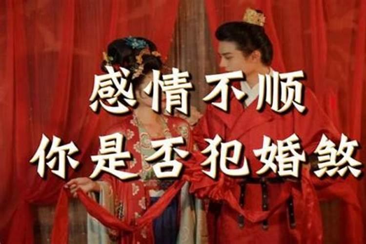 猪年在鼠年运气怎样,猪人遇鼠年的流年运势