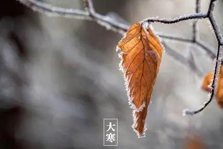 2024寒衣节是农历几月几日