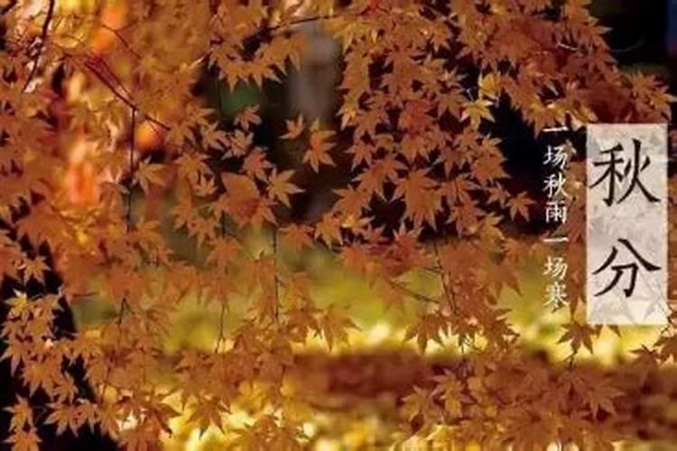 立秋、处暑、白露、秋分、寒露、霜降有什么区别？