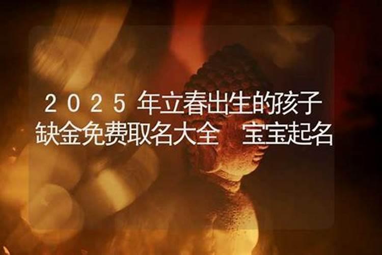 2025年2月4日立春出生女宝宝五行缺什么,八字高分起名字