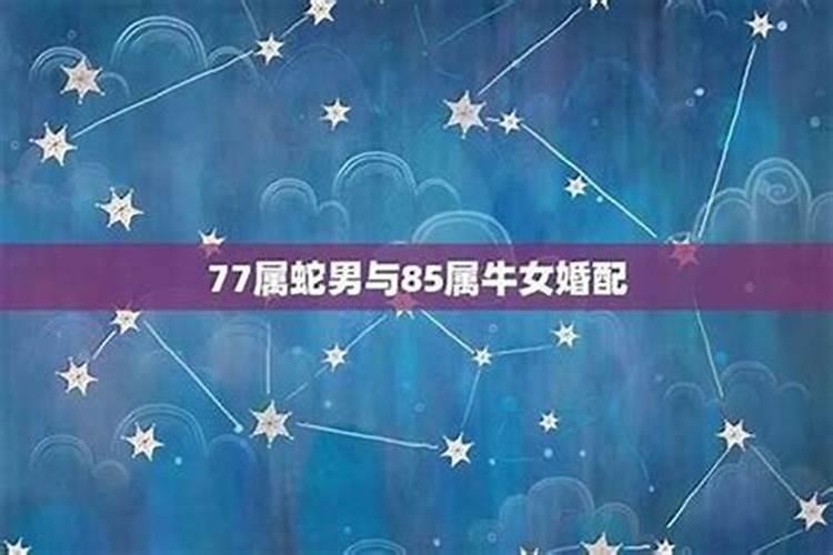 77年男2025每月运势