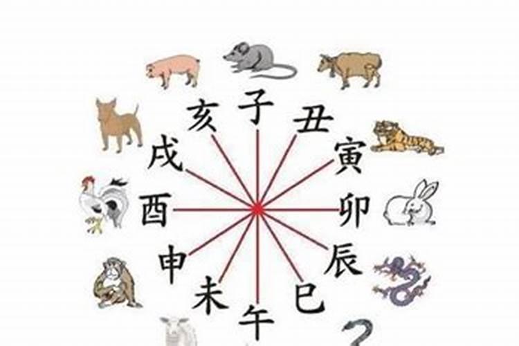 农历一九六五年九月二十八曰辰日时生一生命运怎么样