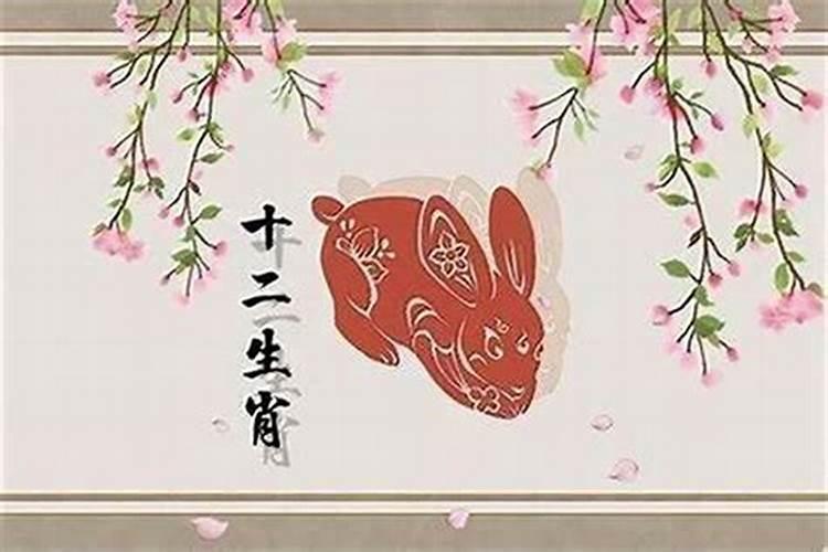 虎妈本命年生虎宝宝不建议虎妈在虎年生孩子