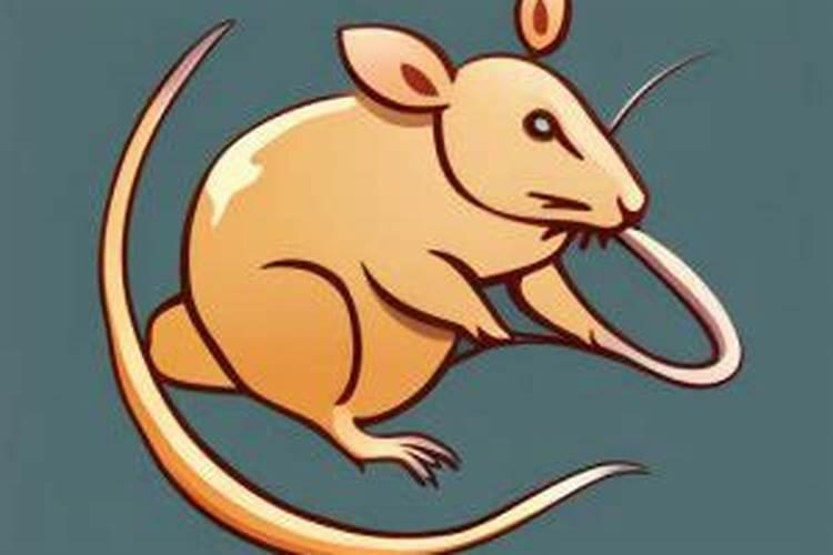 生肖狗:属狗人的流年运程是怎样的