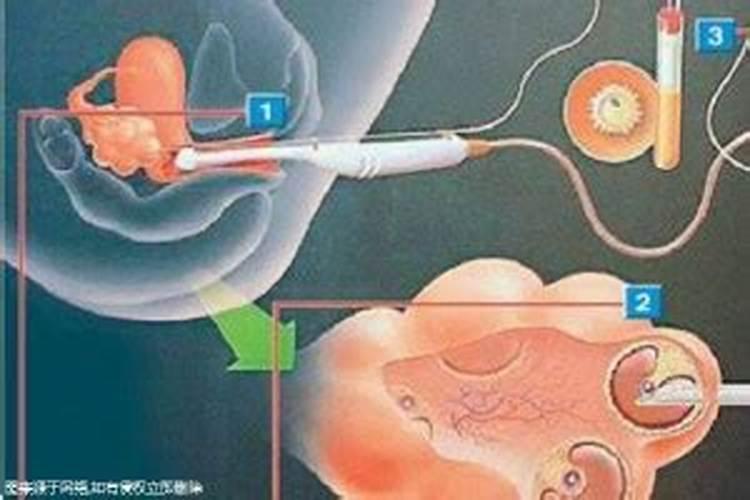 属龙的十月出生好不好