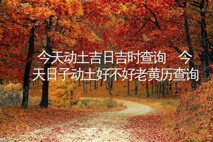 今天可以出行吗日子好不好