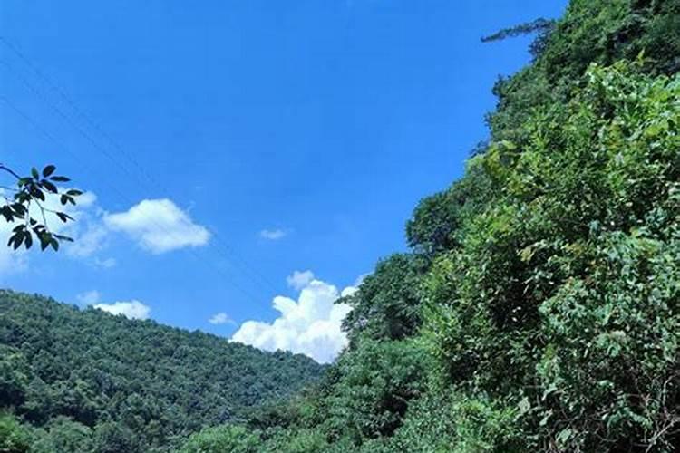 1988年农历10月28生日,本名年要怎样避太岁？