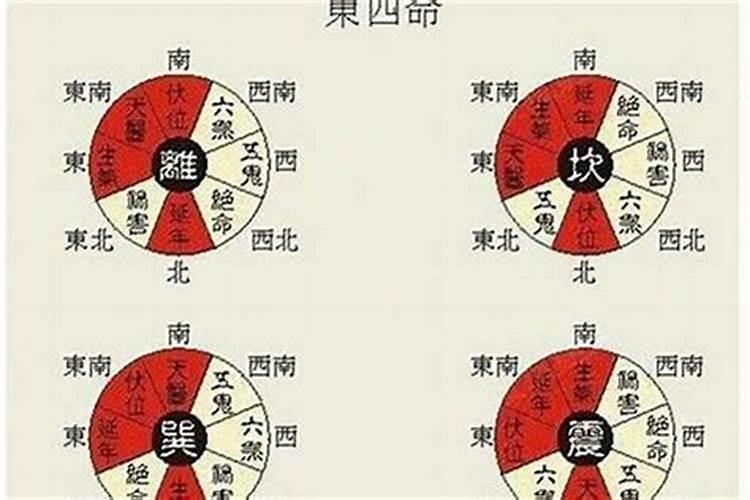 西四命是什么意思