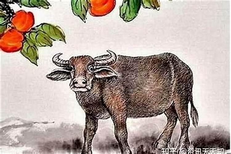 什么是童子命？