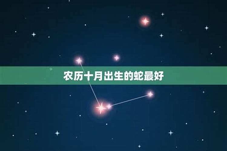 十月出生属蛇人的运势