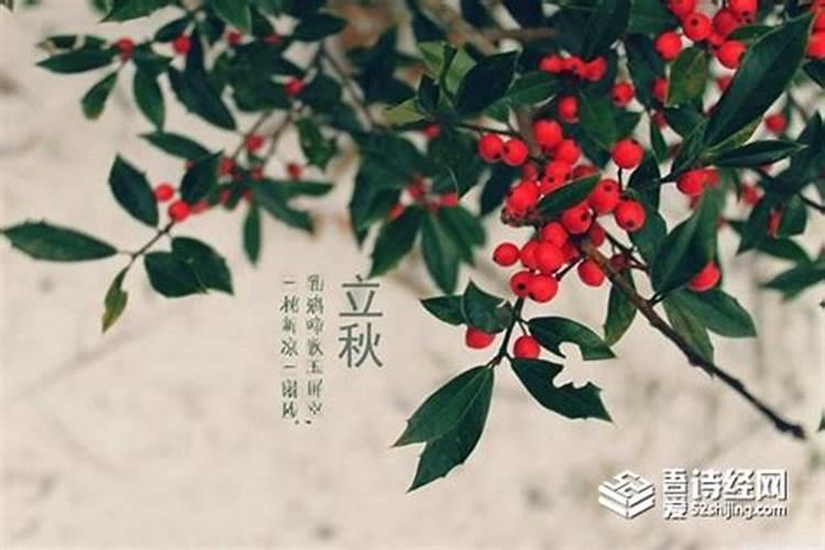 宁波立秋吃什么 宁波立秋吃啥