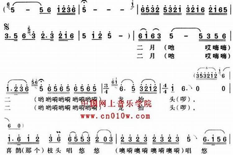 龙抬头王巍是什么人