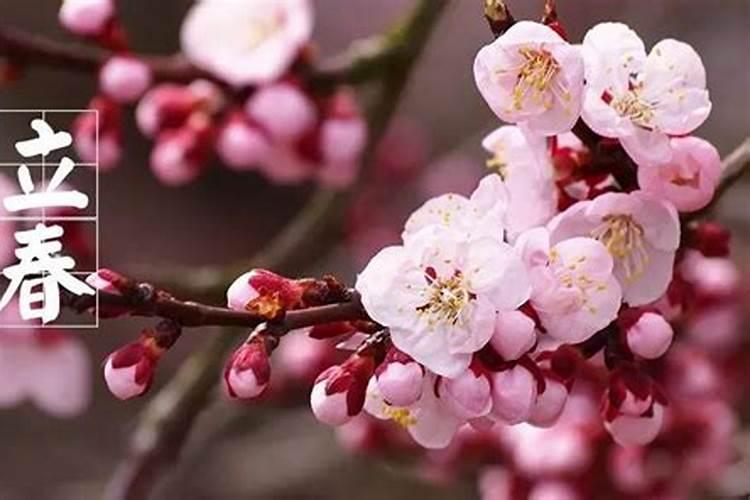 二零一六有立春节气吗