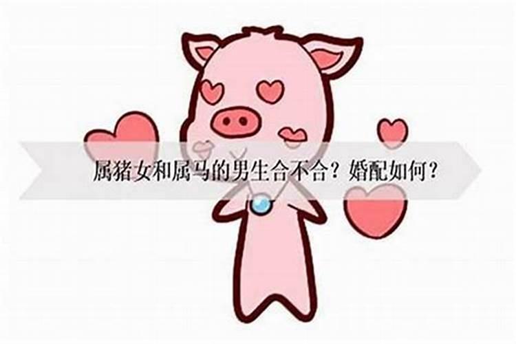 男女都是属猪结婚好吗 男女都属猪适合结婚吗