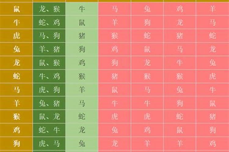 属相相破是什么意思