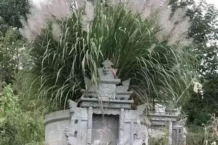 清明节能看望领导吗