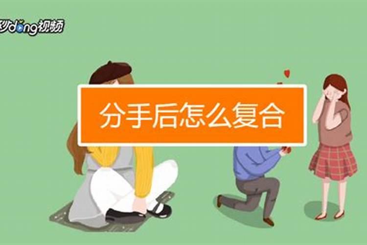 泉州冬至有什么习俗 福建各地冬至习俗都吃什么