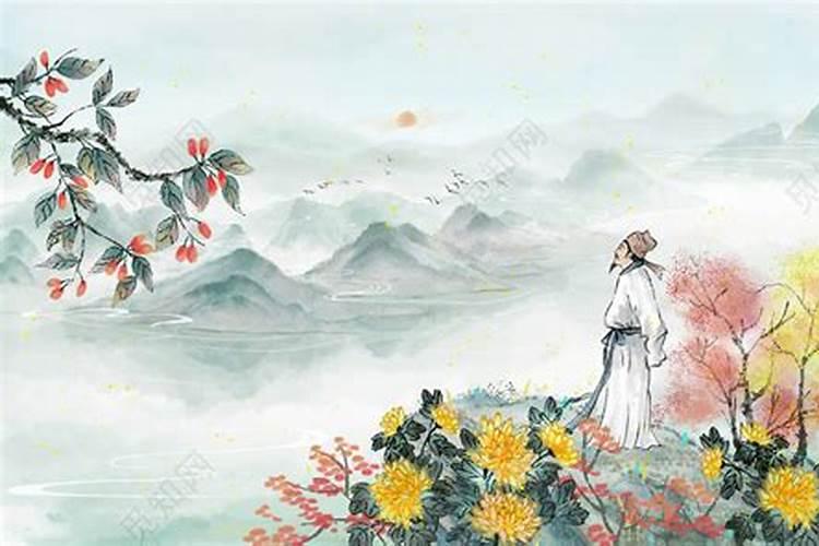 《九月九日忆山东兄弟》中登的山是什么山？