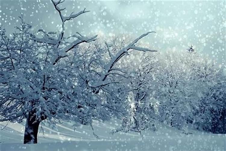 怀孕的人梦见下雪