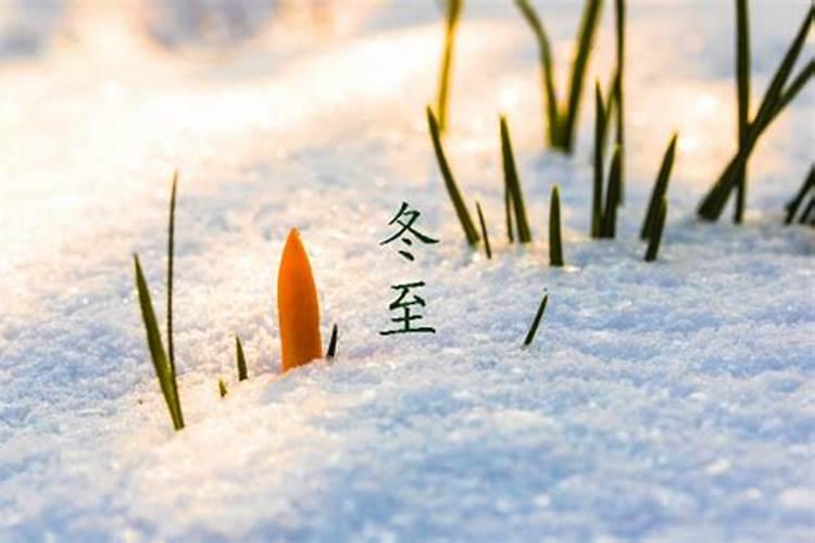 南阳喝黄酒的习俗它的来历和含义是什么