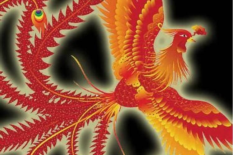 成功人士最多的属相是什么