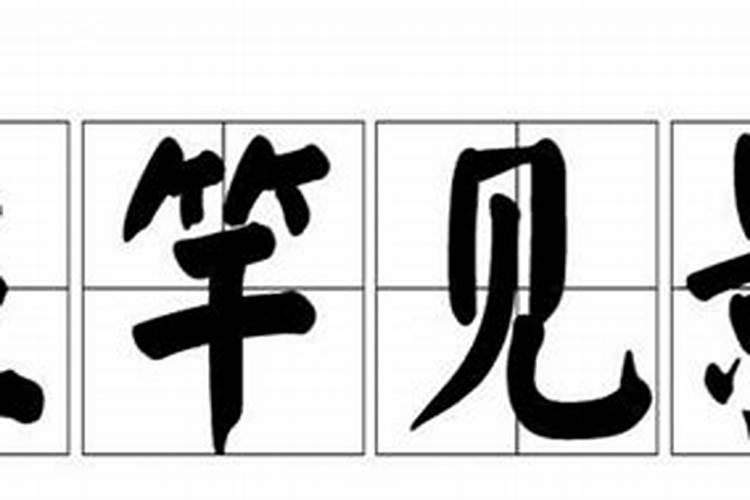 日代表什么生肖