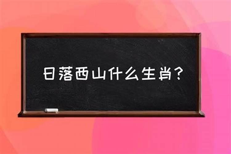 日是什么肖