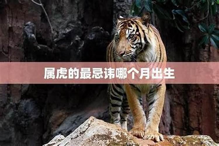 九月属虎的命运怎么样