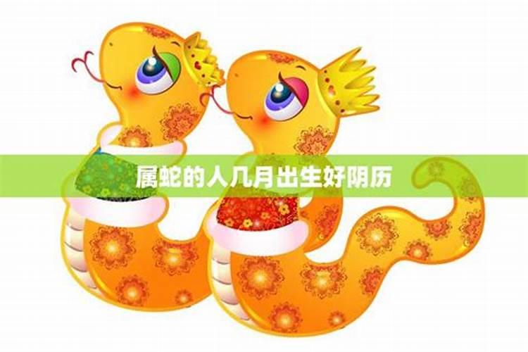 1989年农历7月15是属什么的？又是什么星座的？