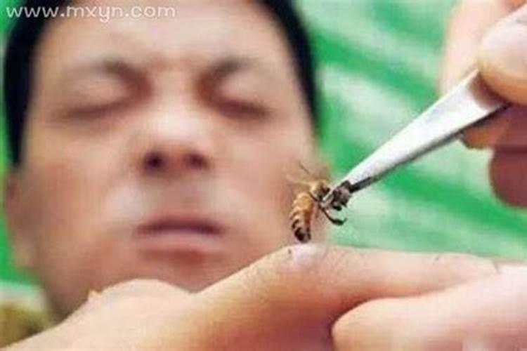 梦到被蜜蜂蛰是什么意思