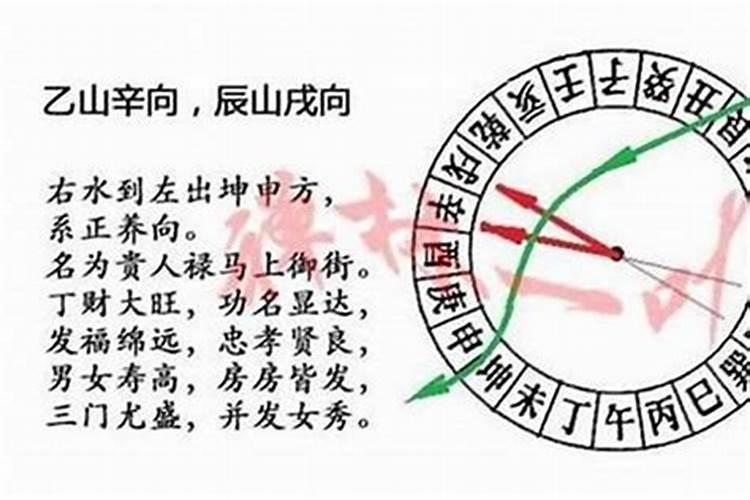 八字地支戌五行属什么,日支为戌土之人好动聪慧吗？