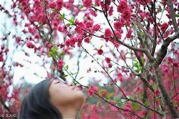 民间五种破桃花运的方法,什么方法最好