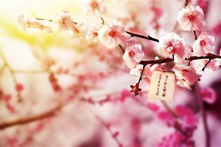 桃花运差怎么破解？