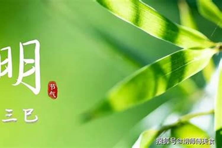 今年清明时辰几点开始