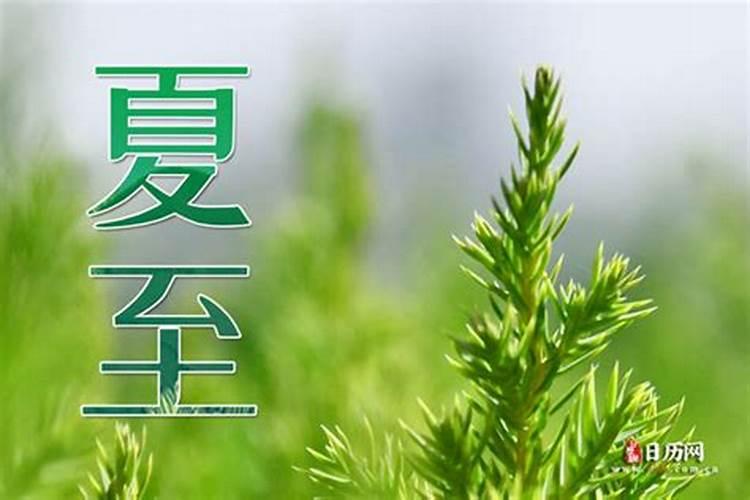 2025年入伏时间表 2025年入伏从哪一天开始