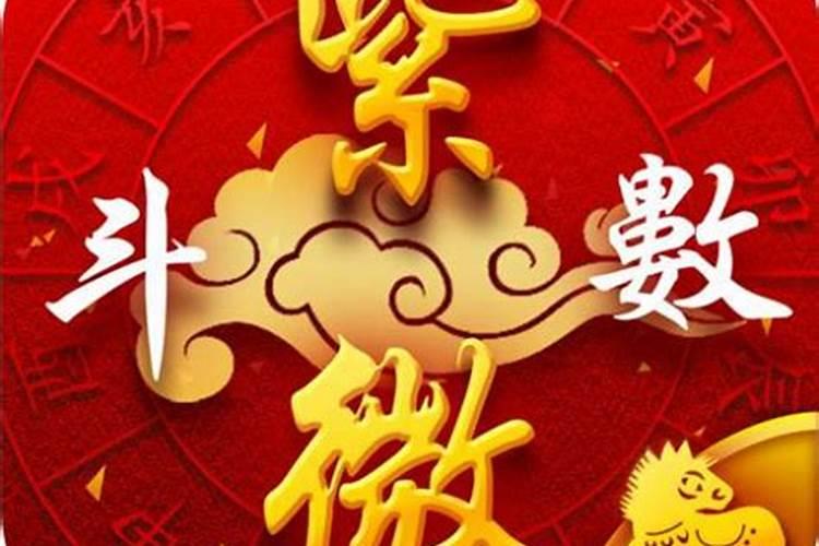 人见人爱、贵人运超好的紫微命格