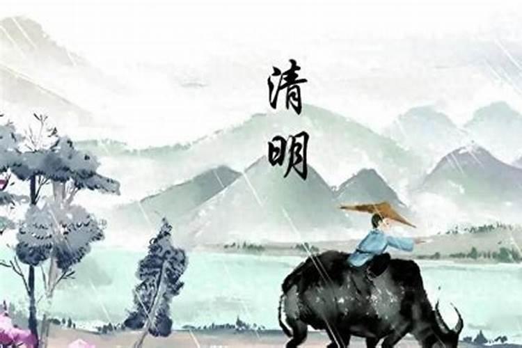 清明节宜干什么忌干什么