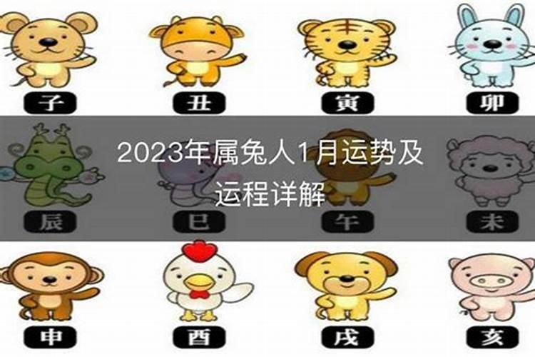 属兔的几月出生最好几月出生最不好,属兔人几月出生命最好