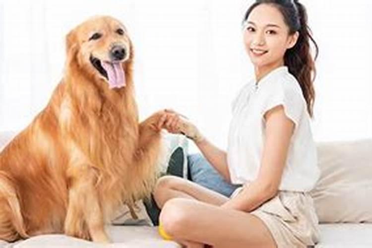 梦见狗咬脚是啥征兆