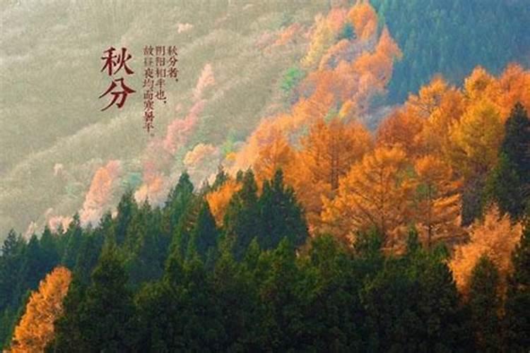 春分和秋分是什么意思