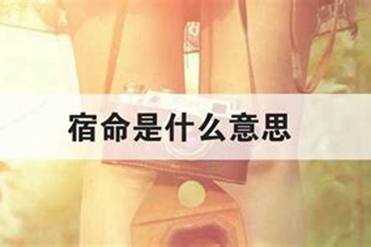 女人说宿命是什么意思？